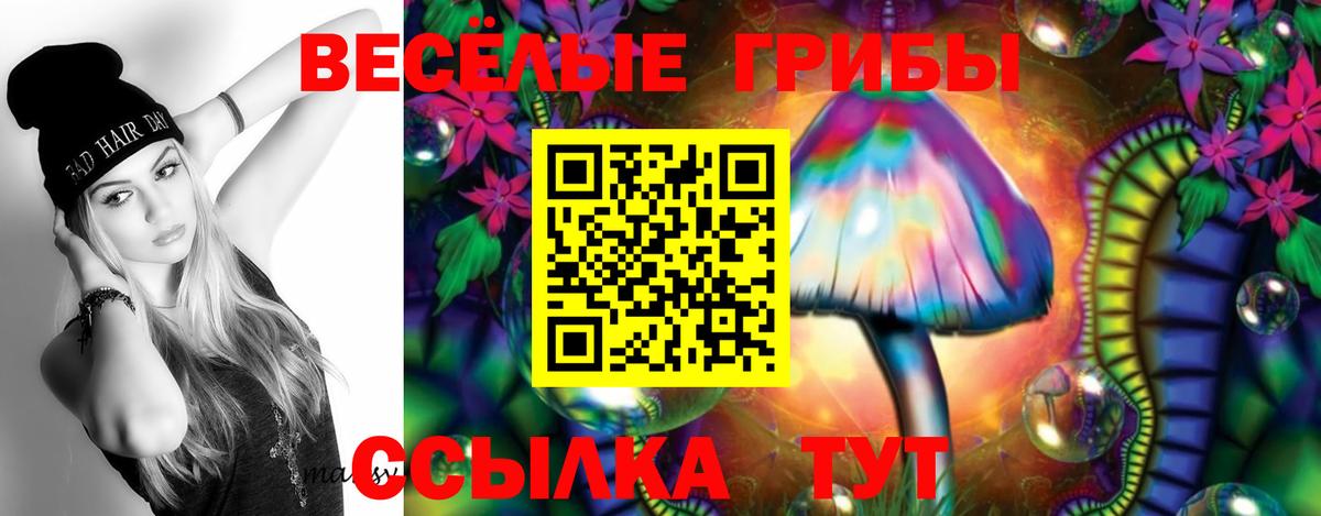 Галлюциногенные грибы MAGIC MUSHROOMS Тайшет